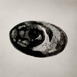 beyondWords-work04