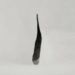 beyondWords-work07
