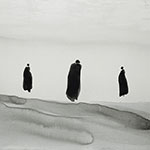 thmb_2010GXJ_08