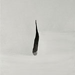thmb_2010GXJ_13