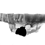 thmb_2011GXJ_05