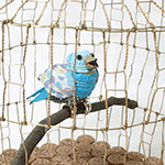 All My Newborns - An Inaugural Solo Exhibition of Emerging Japanese Artist Tomita Natsumi