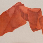 Vermilion Bird朱雀, 2014, 140x200cm, Pigments and acrylic on canvas