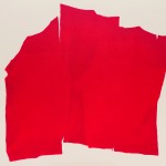 Scarlet Cloak 红披风, 2014, 140x140cm, Pigments and acrylic on canvas
