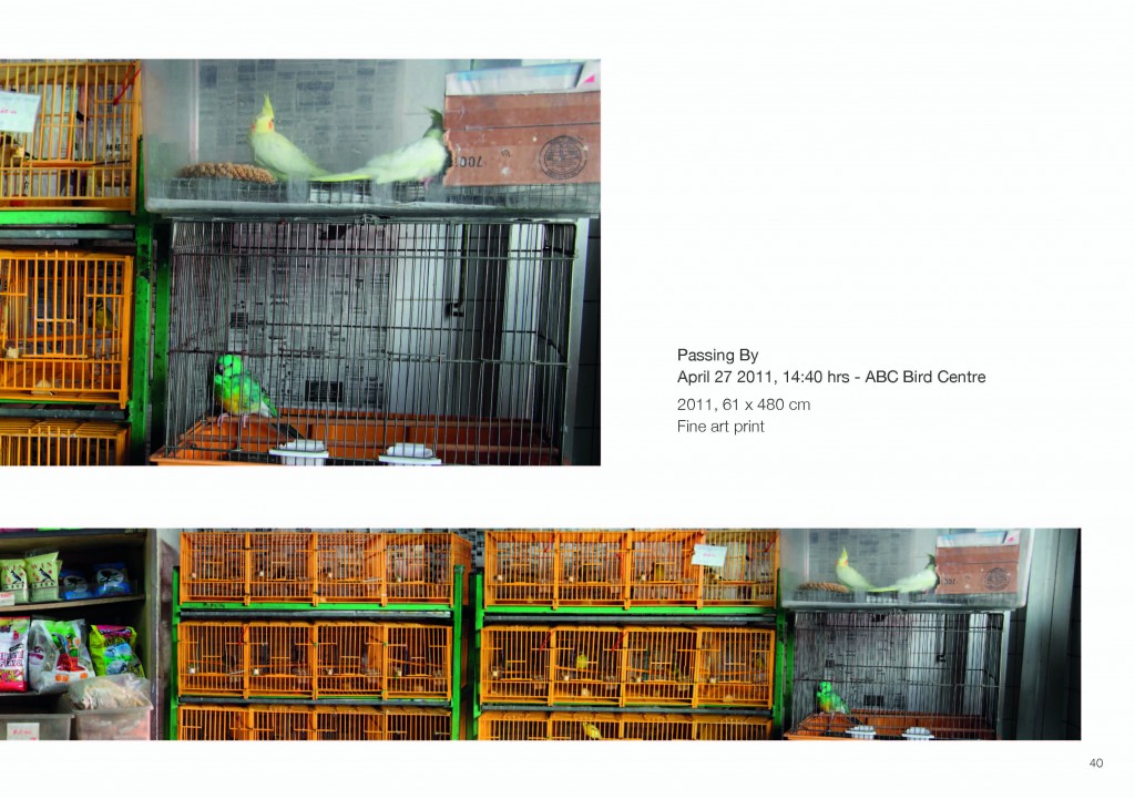 Now_Page_43