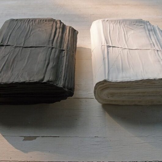 Annie Wan 尹麗娟 (b. 1961)