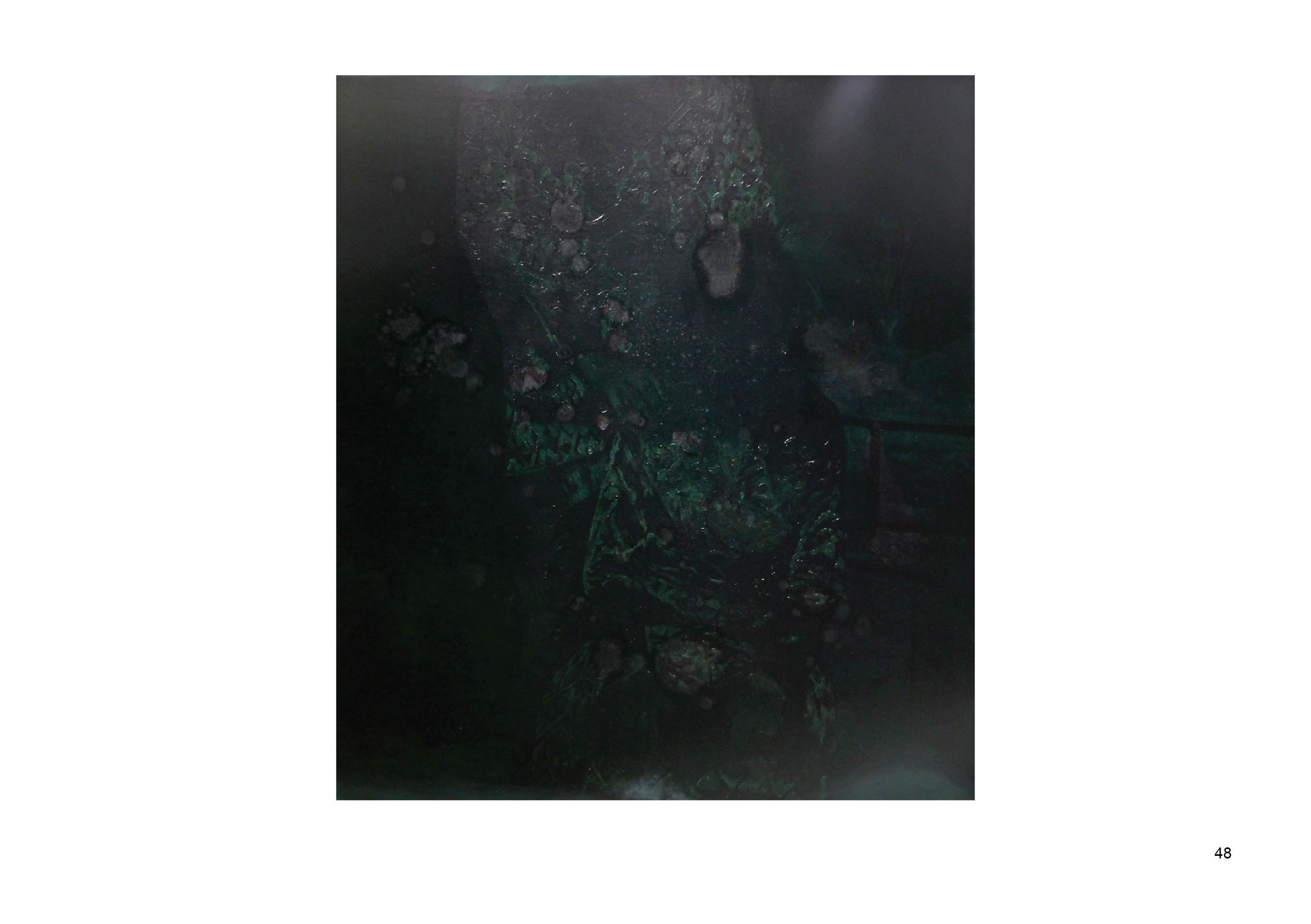 Afterimage E catalogue LS copy