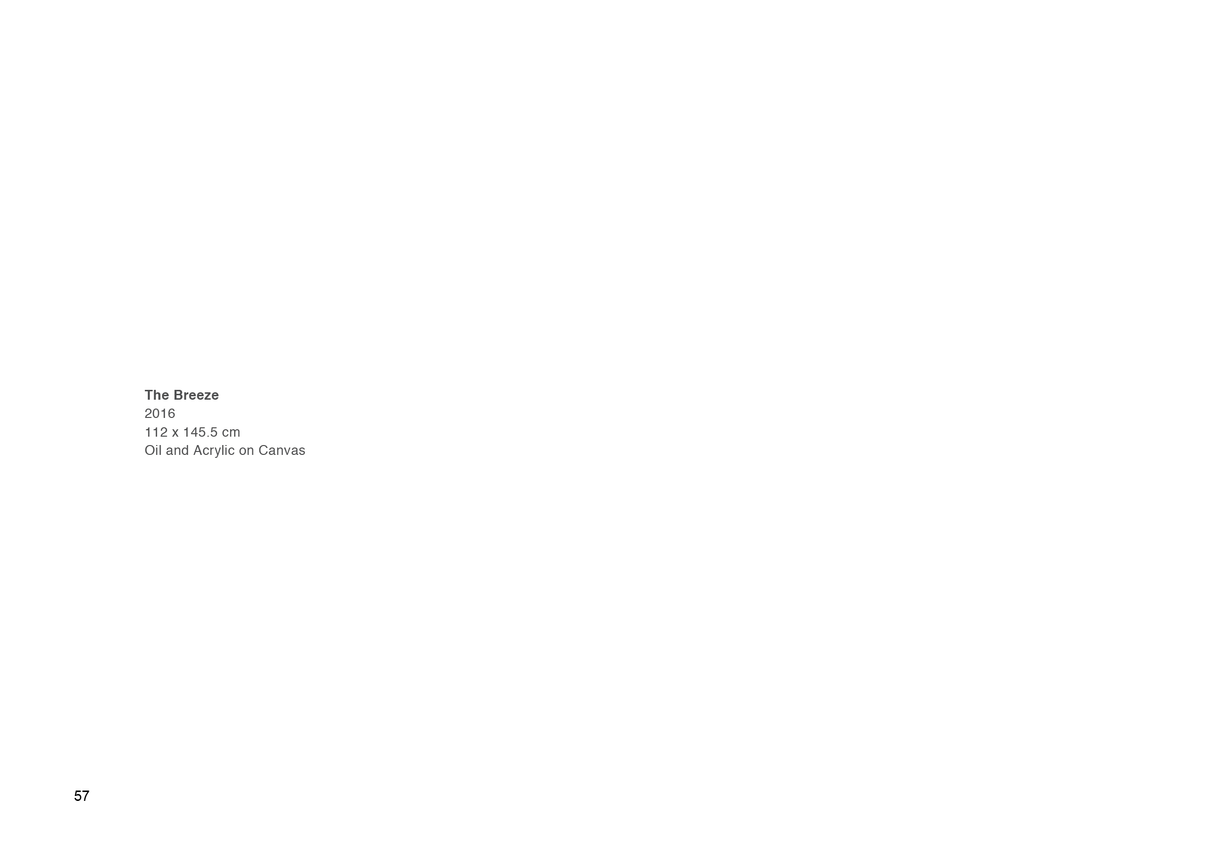 Afterimage E catalogue LS copy