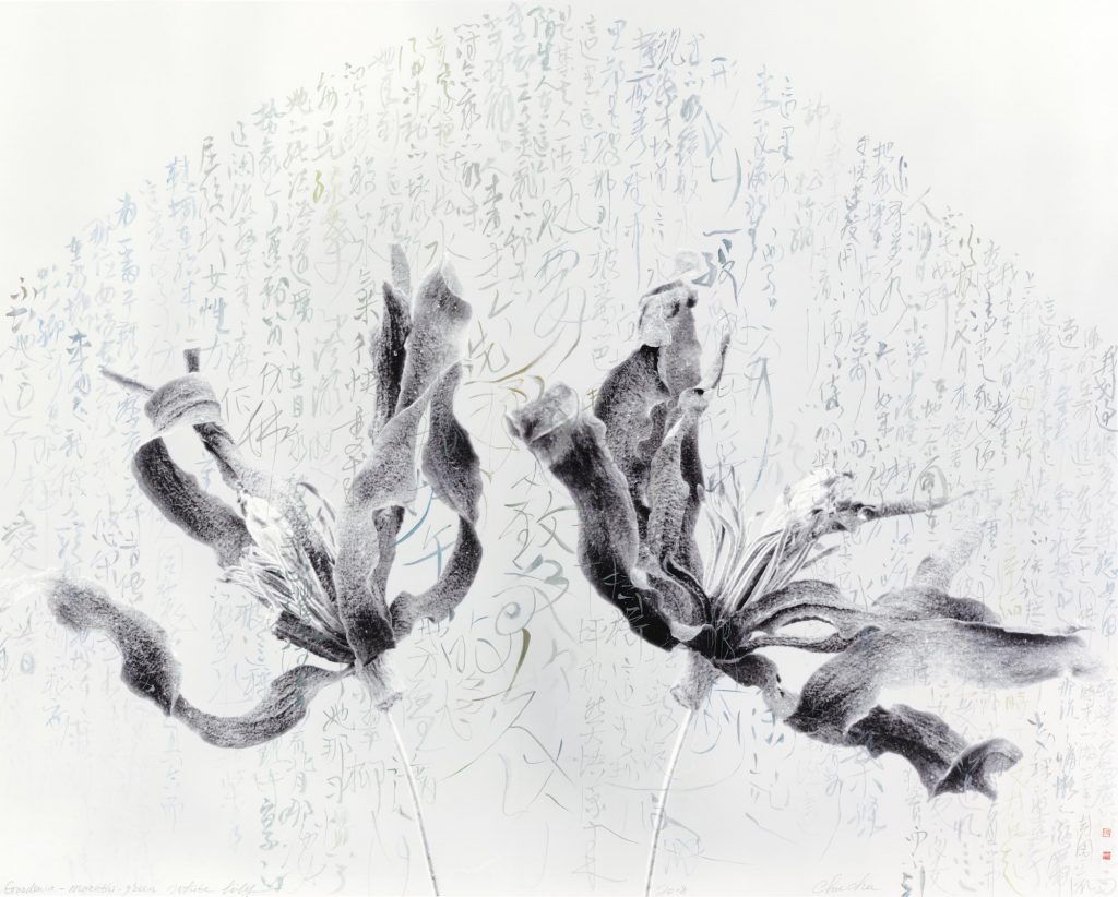 Chu Chu | Calligraphy · Universe《書·萬物》| Solo Exhibition