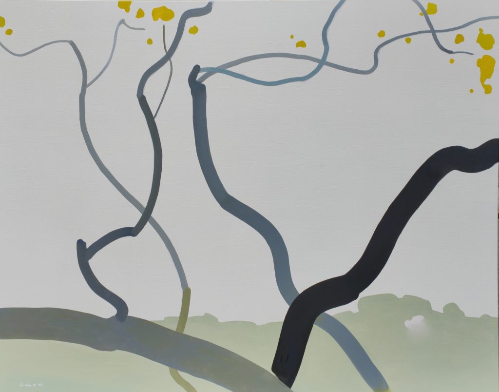 The Charming Yellow Blossoms 几点黄花最可人