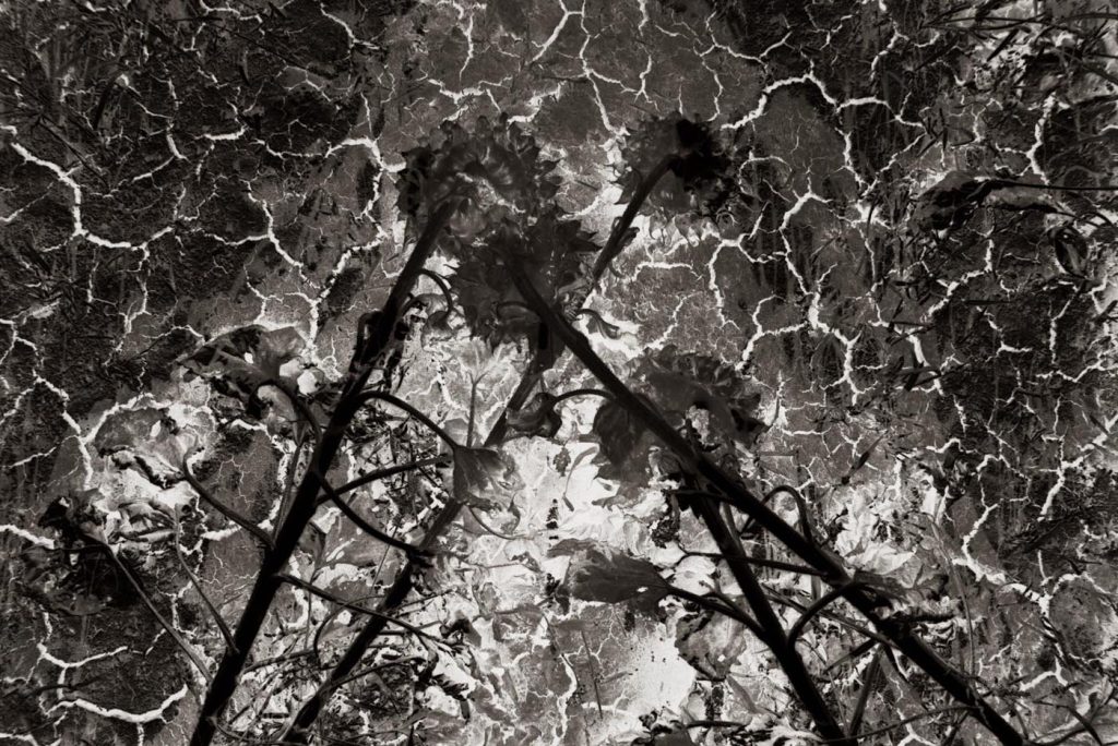 First Movement – XXXIV